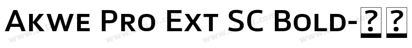 Akwe Pro Ext SC Bold字体转换
